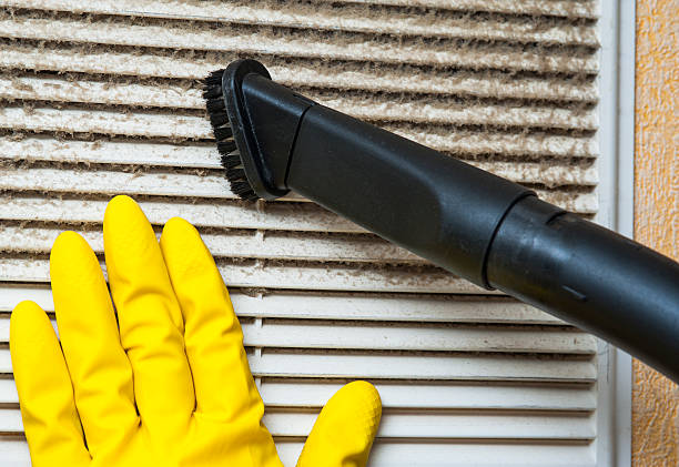 Best Ductwork Cleaning Services  in Uvalde Estates, TX